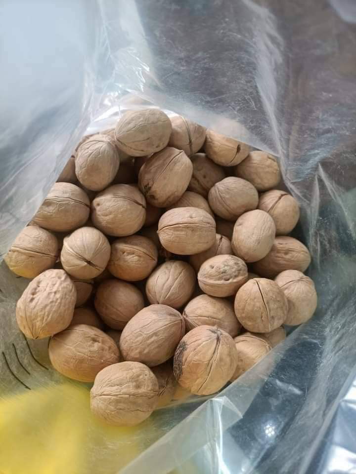 Walnuts / Akhrot